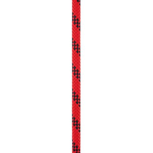 ベクター 12.5mm